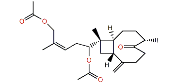 Gibberosin S